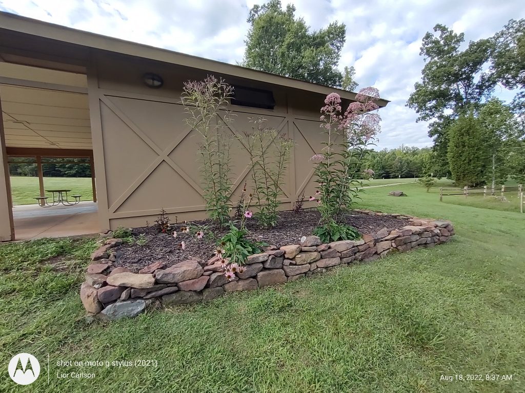 plant donation
